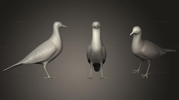Статуэтки животных (Голубь, STKJ_1273) 3D модель для ЧПУ станка